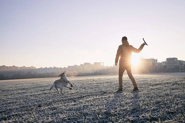 Frosty ochtend met hond — Stockfoto