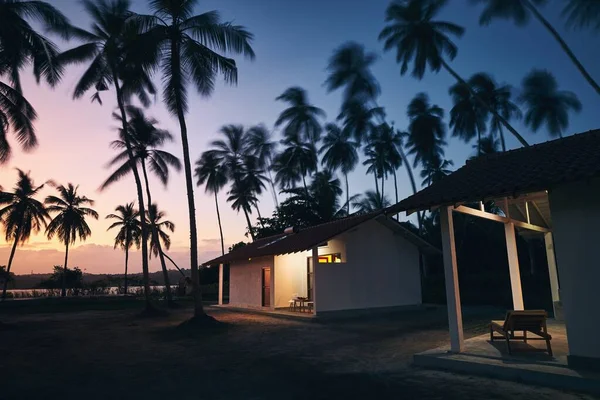Бунгало под кокосовыми пальмами — стоковое фото