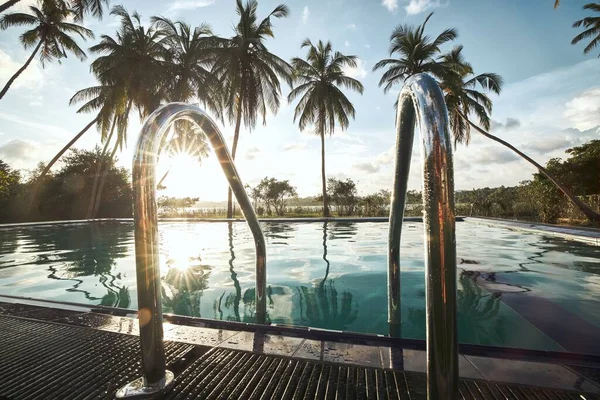 Hindistan cevizi palmiyelerinin ortasında yüzme havuzu — Stok fotoğraf