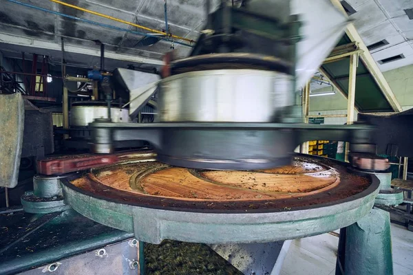 Production in tea factory — Stock Photo, Image