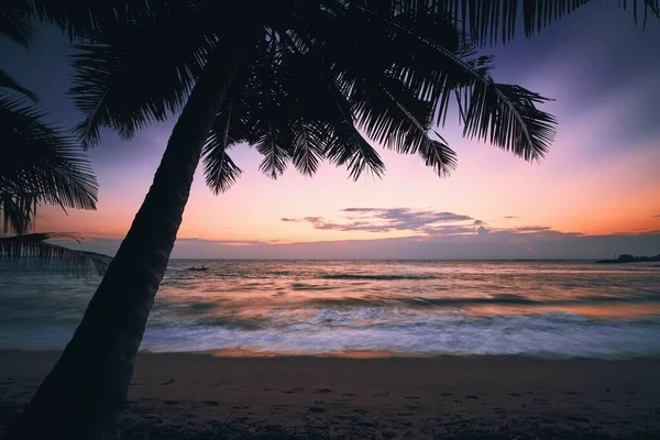 Palme bei buntem Sonnenaufgang — Stockfoto