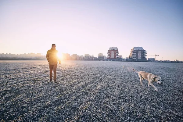 Frosty ochtend met hond — Stockfoto