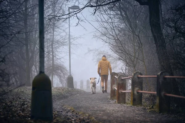 Paseo matutino con perro en niebla — Foto de Stock