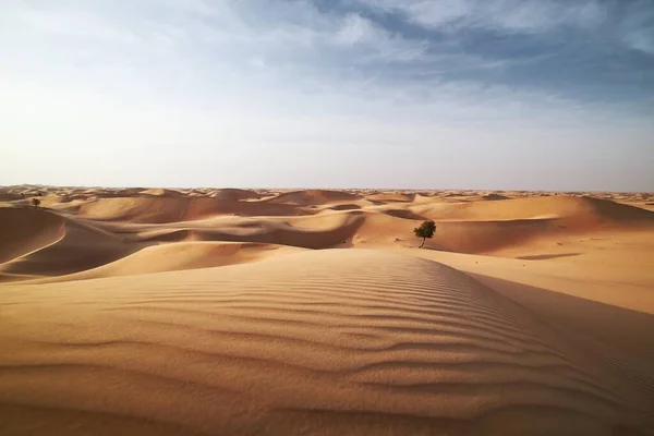 Піщані дюни в пустельному пейзажі — стокове фото