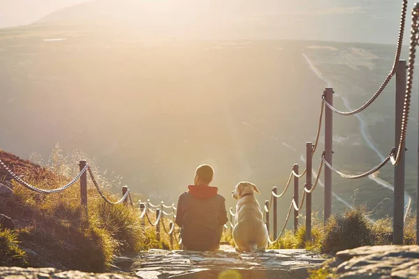 Hombre Junto Con Perro Sentado Camino Atardecer Vista Desde Las — Foto de Stock