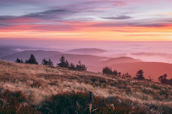 日出时分 云彩之上的风景 Jeseniky Mountains 捷克共和国 — 图库照片