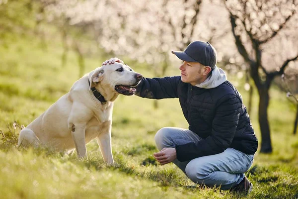 Man Met Zijn Hond Lente Natuur Huisdier Eigenaar Ontspanning Met — Stockfoto