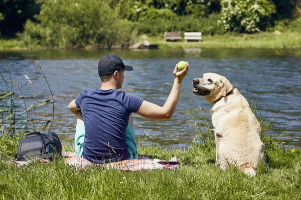 Köpekle Yaz Tatili Rahatlaması Genç Adam Nehir Kenarında Labrador Alıcısıyla — Stok fotoğraf