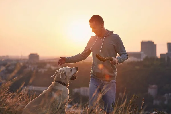 ペットの飼い主は犬を練習している 若い男とラブラドールの検索で草原で日の出 — ストック写真