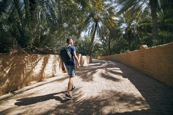 Jovem Viajante Solo Caminhando Meio Palmeiras Oásis Deserto Ain Emirado — Fotografia de Stock