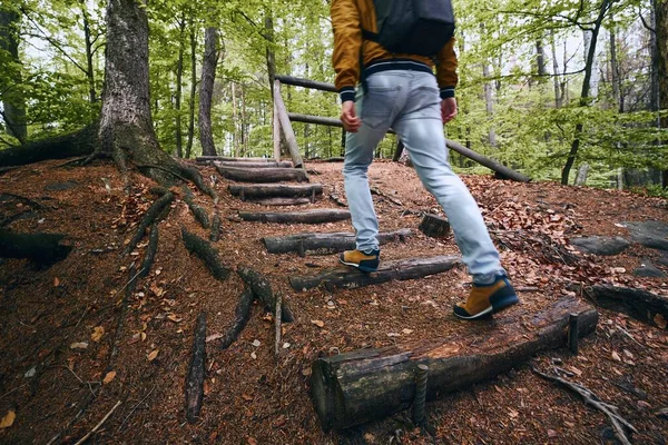 男は森の中の歩道を歩いている テーマ自由 ハイキング チェコ共和国ボヘミアン パラダイス — ストック写真