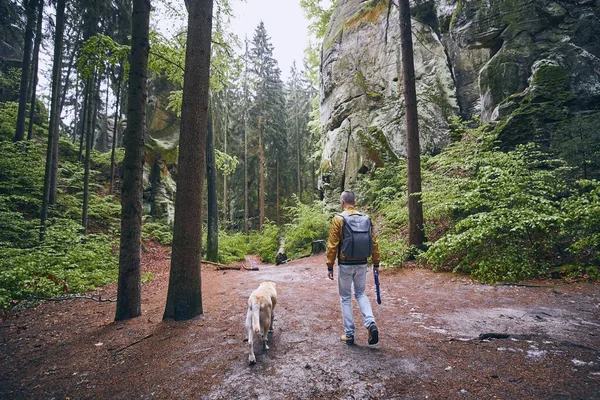 Man Met Zijn Hond Wandelend Het Voetpad Midden Het Bos — Stockfoto