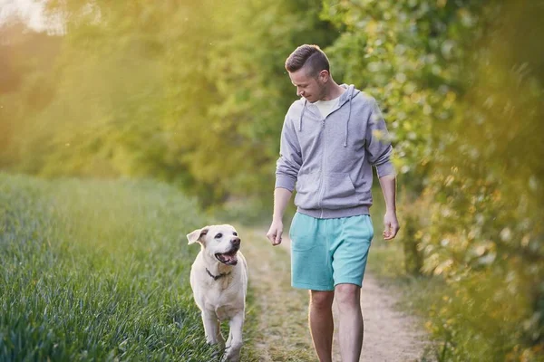 Jongeman Wandelen Met Zijn Gelukkige Hond Labrador Retriver Wandelpad Lente — Stockfoto