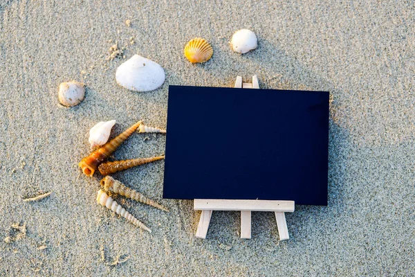 Kumsalda deniz kabukları olan boş siyah tahta.