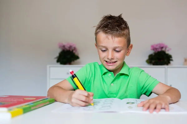 Rapaz feliz com lição de casa — Fotografia de Stock