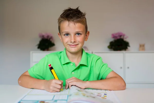 Счастливый мальчик делает уроки — стоковое фото