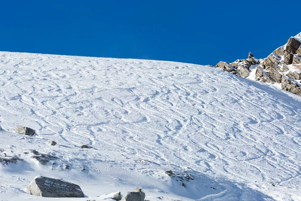 Вне трасс для катания на лыжах на снегу — стоковое фото