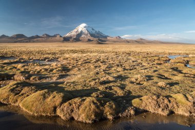 Volkan Nevado Sajama