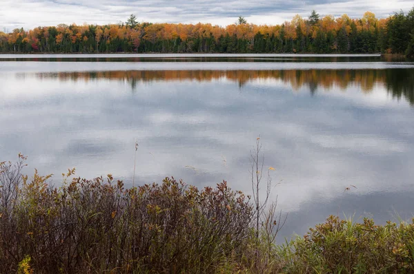 Podzim v ontario — Stock fotografie