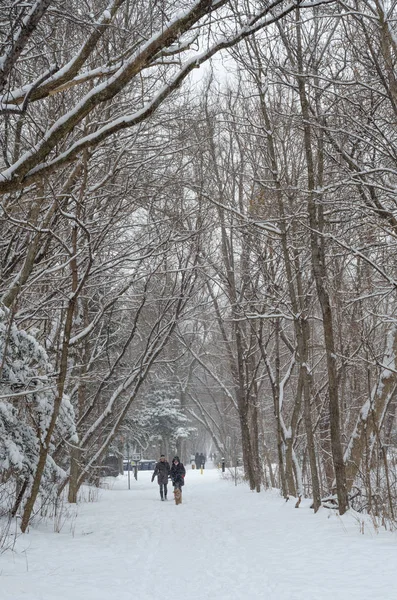 Winter Trail in Toronto — Stockfoto