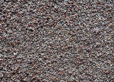 Haşhaş tohumu, arka plan, yakın çekim