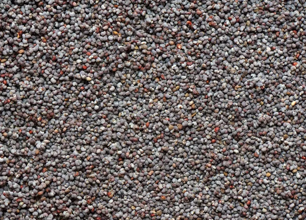 Haşhaş tohumu, arka plan, yakın çekim