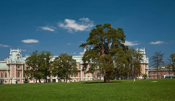 俄罗斯莫斯科 2012年7月31日 沙里奇诺宫和公园合奏 大沙里奇诺宫景观 1786 1796年 — 图库照片