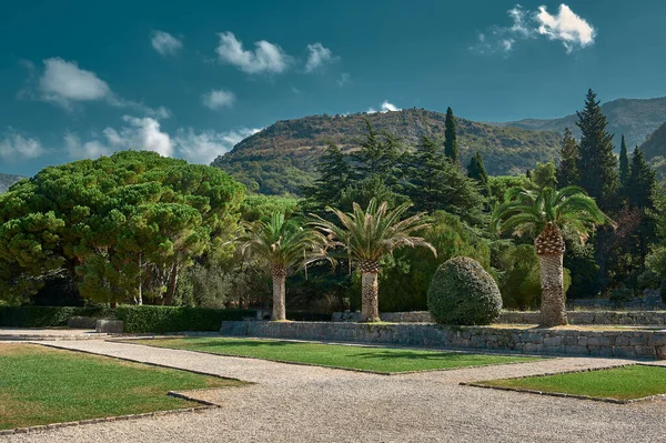 Park Botanik Bahçesi Karadağ Milocer Adriyatik Denizi Kıyısında — Stok fotoğraf