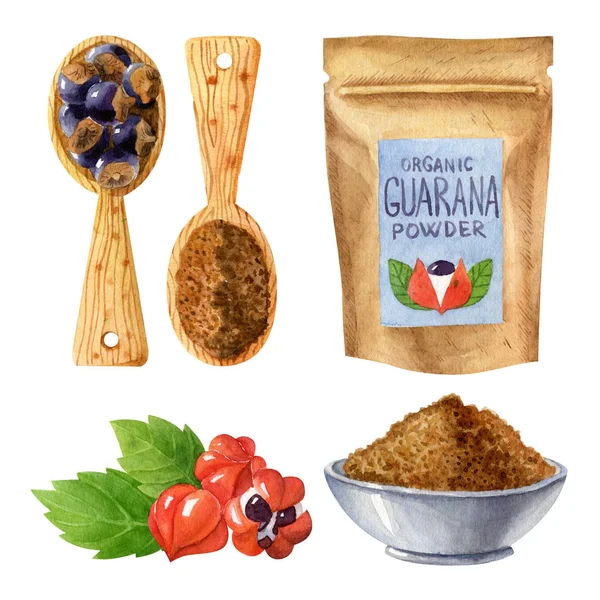 Organic Superfood Set Guarana Fruits Green Leaves Guarana Powder Ceramic — ストック写真