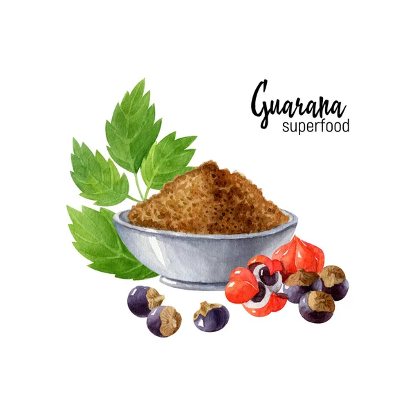 Organic Superfood Guarana Powder Ceramic Bowl Guarana Fruits Leaves Seeds — ストック写真
