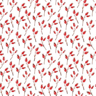 Watercolor seamless pattern with dried winter dog-rose berries isolated on white background. Autumn illustration in brown colors. Hand drawn floral backdrop perfect for interior fabrics, wallpapers.