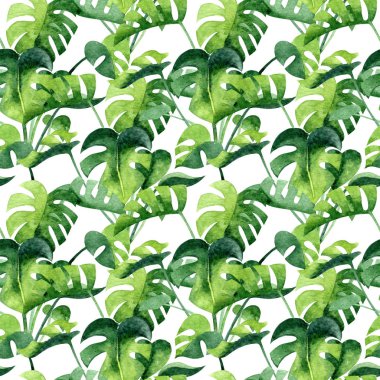 Watercolor seamless pattern with monstera on white background. Home exotic greenery, texture for fabrics, wallpapers, wrapping paper.