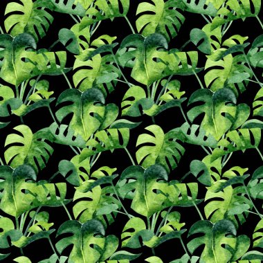 Watercolor seamless pattern with monstera on black background. Home exotic greenery, texture for fabrics, wallpapers, wrapping paper.