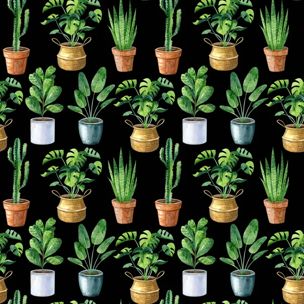 Akvarell Sömlöst Mönster Med Hem Växter Monstera Sansevieria Suckulenter Kaktus — Stockfoto