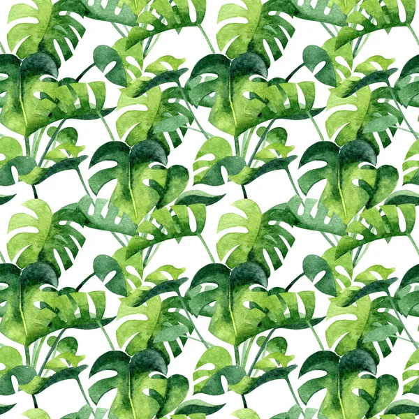 Watercolor Seamless Pattern Monstera White Background Home Exotic Greenery Texture — Stok fotoğraf