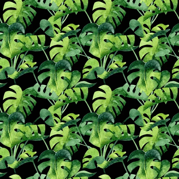 Watercolor Seamless Pattern Monstera Black Background Home Exotic Greenery Texture — Stok fotoğraf