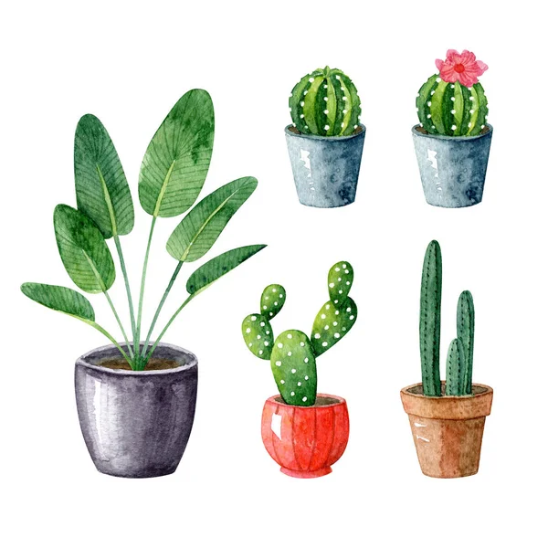 Home Plants Succulents Cactus Pots Watercolor Set Hygge Style Scandinavian — Stok fotoğraf