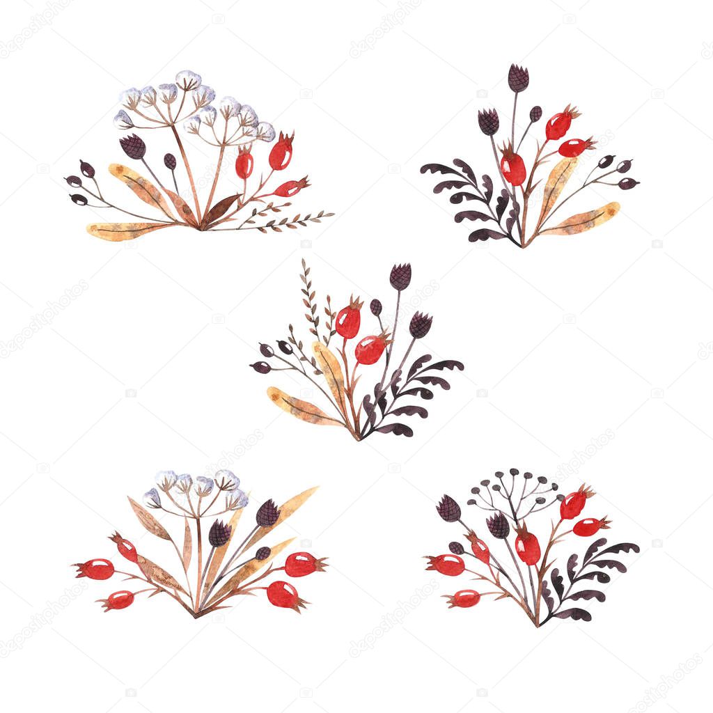 Collection of watercolor herbal compositions isolated on white background. Winter dried herbs, leaves and dog-rose berries. Hand drawn clipart. Perfect for invitations, greeting cards, postcards.
