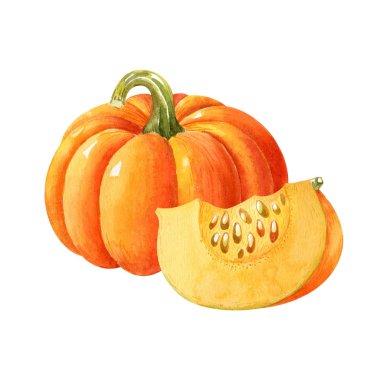 Olgun portakal kabağı ve balkabağı dilimi beyaz arka planda izole edilmiş. Suluboya elle çizilmiş resim. El yapımı Clipart.