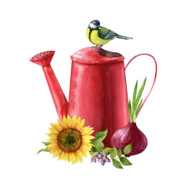 Kırmızı sulama kutusu, ayçiçeği, filizlenmiş soğan, patates çiçeği ve beyaz arka planda meme faresi olan bahçe kompozisyonu. Suluboya illüstrasyon, elle çizilmiş clipart.