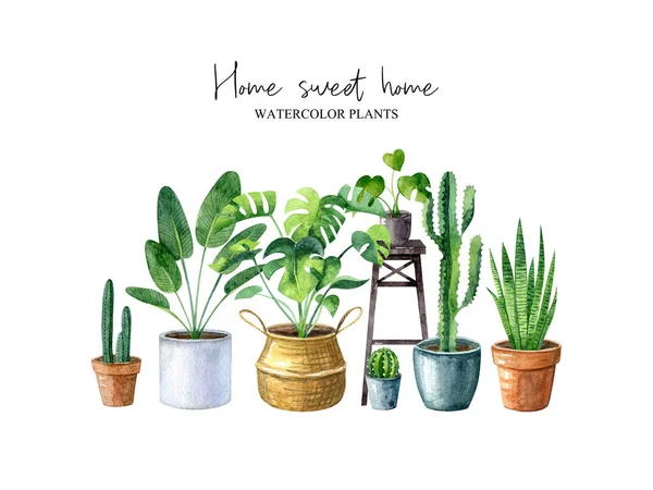 Hogar Dulce Hogar Acuarela Ilustración Con Plantas Caseras Monstera Cactus — Foto de Stock