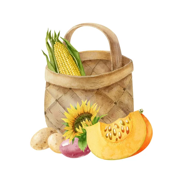 Birch Bark Basket Corn Cob Vegetables Potatoes Sunflower Piece Pumpkin — Stock Photo, Image