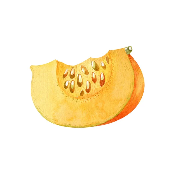 Slice Ripe Orange Pumpkin Isolated White Background Watercolor Handdrawn Illustration — Stock Photo, Image