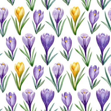 Beyaz arka planda izole edilmiş, satranç sırasındaki mor ve sarı timsahlar. Suluboya kusursuz desen. Merhaba bahar çiçeği çizimi. Kumaşlar, ambalaj kağıtları, hatıra defterleri için el çizimi