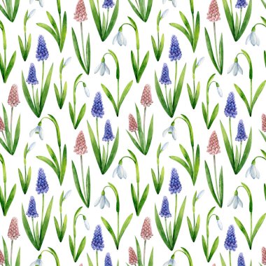 Beyaz kar damlaları ve beyaz arka planda izole edilmiş mavi muscari deseni. Suluboya bahar çiçekli illüstrasyon. Kumaşlar, ambalaj kağıtları, hatıra defterleri, duvar kağıtları için el çizimi..