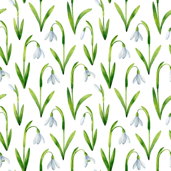 Vita Snödroppar Sömlösa Mönster Isolerad Vit Bakgrund Akvarell Våren Blommig — Stockfoto