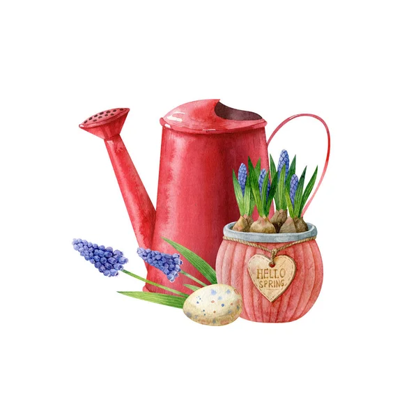 Red Watering Can Blue Muscari Clay Pot Bird Egg Isolated — 스톡 사진