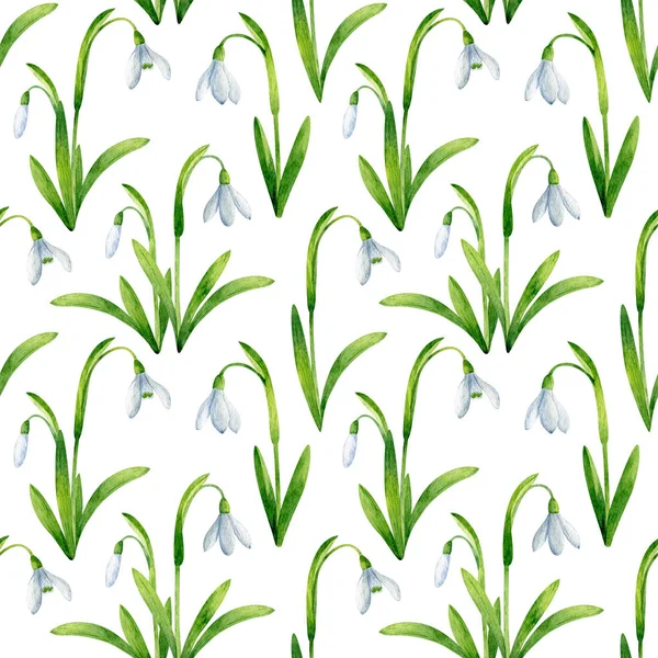 Nahtloses Muster Mit Schneeglöckchen Auf Weißem Hintergrund Aquarell Frühling Florale — Stockfoto