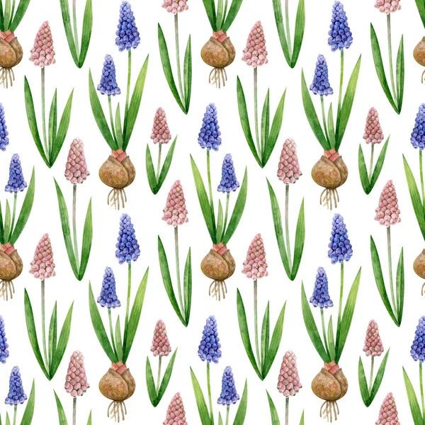 Sömlös Mönster Med Blå Och Rosa Muscari Och Lökar Isolerade — Stockfoto