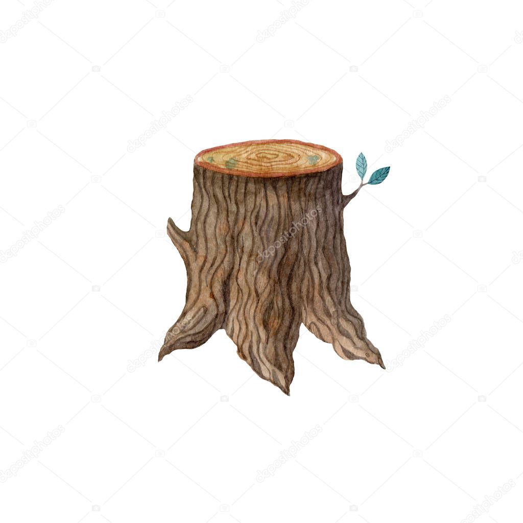 Watercolor wooden stump with leaves isolated on white background. Forest concept. Childish illustration, hand drawn clipart for greeting card, invitations.